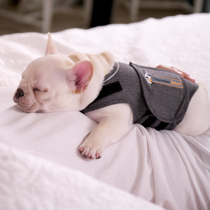 ThunderShirt Sport for Dogs Anxiety Vest