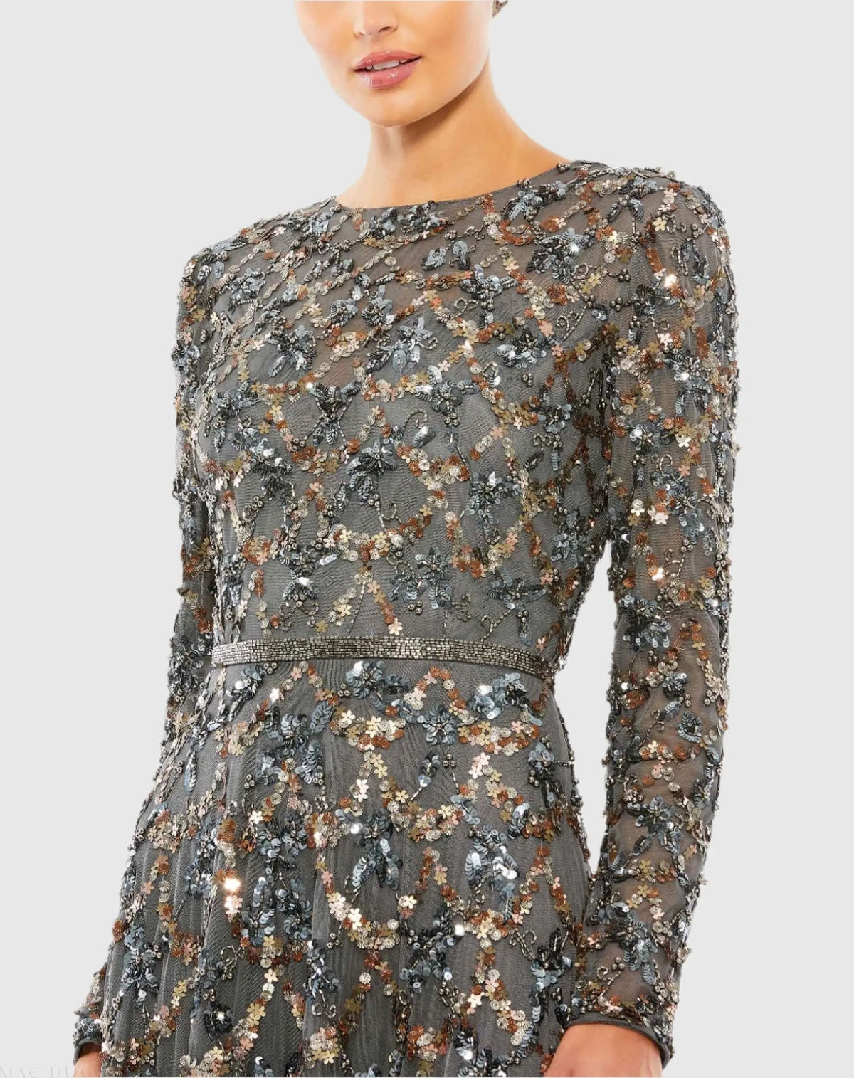 Gray Embellished Illusion High Neck Long Sleeve A Line Gown