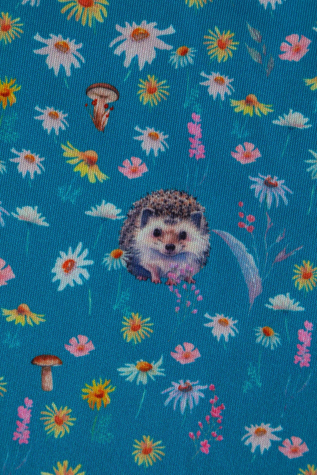 Lily Hedgehogs Blue Off Shoulder Dress