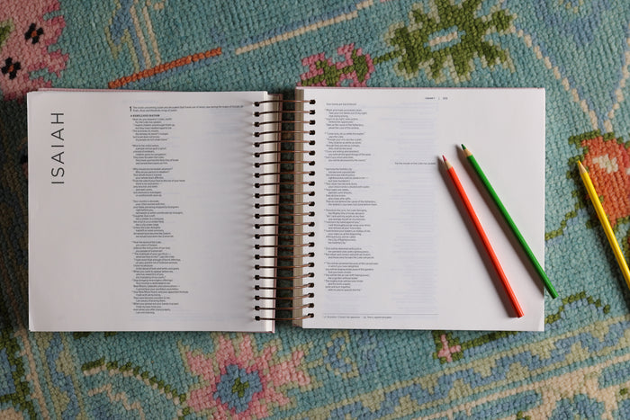 NIV, Spiral-bound Illustrating Bible, Leathersoft Spiral, Pink: Draw, Write, and Reflect Your Way Through Scripture