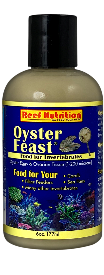 Oyster-Feast