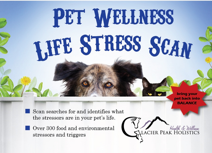 Pet Wellness Life Stress Scan