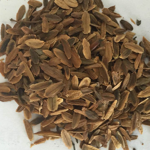 Syringa reticulata & Japanese tree lilac Seeds