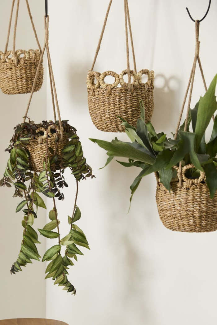Accent-Decor-Verse-Hanging-Basket