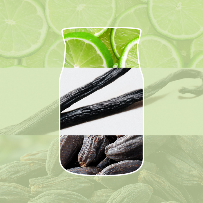 Yankee Candle Vanilla Lime Medium Signature Jar Candle